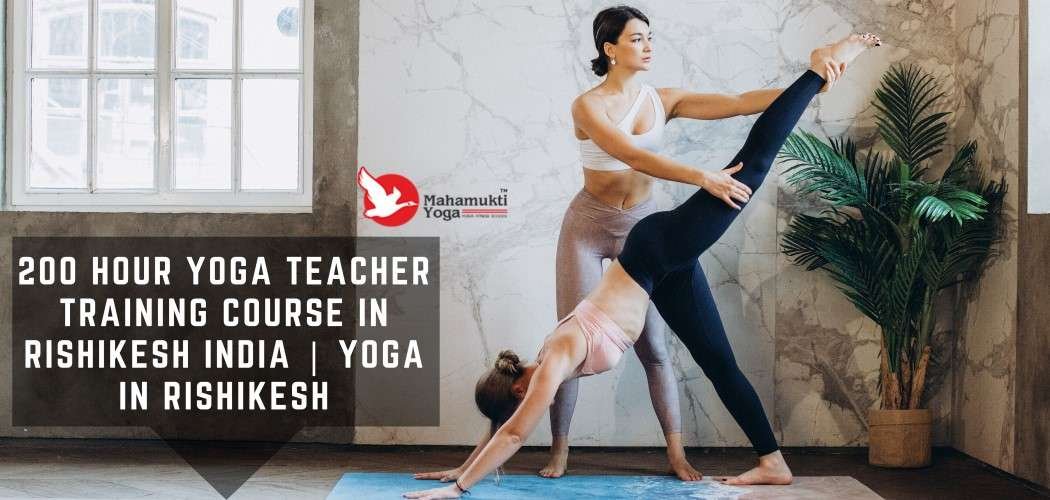 Professional 200 - 500 Hour Yoga Teacher Training Course in Rishikesh 1 You are currently viewing Professional 200 – 500 Hour Yoga Teacher Training Course in Rishikesh