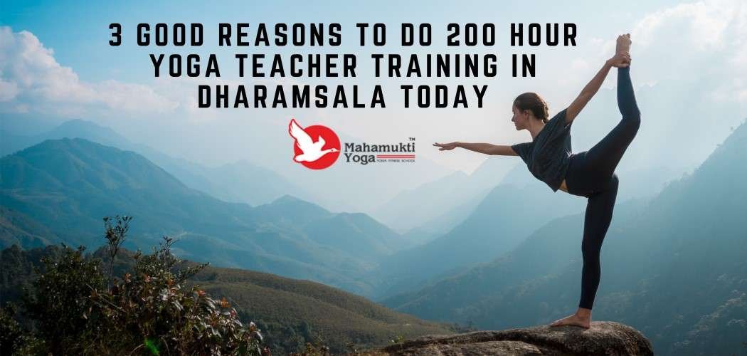 Reasons To Do 200 Hour Yoga Teacher Training Course In Dharamsala 1 You are currently viewing Reasons To Do 200 Hour Yoga Teacher Training Course In Dharamsala