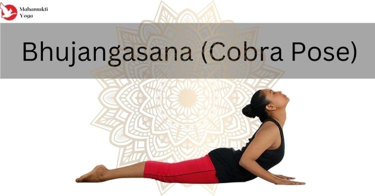 You are currently viewing The Incredible Benefits of Practicing Bhujangasana (Cobra Stretch)