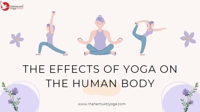 The Effects of Yoga on The Human Body 1 You are currently viewing The Effects of Yoga on The Human Body