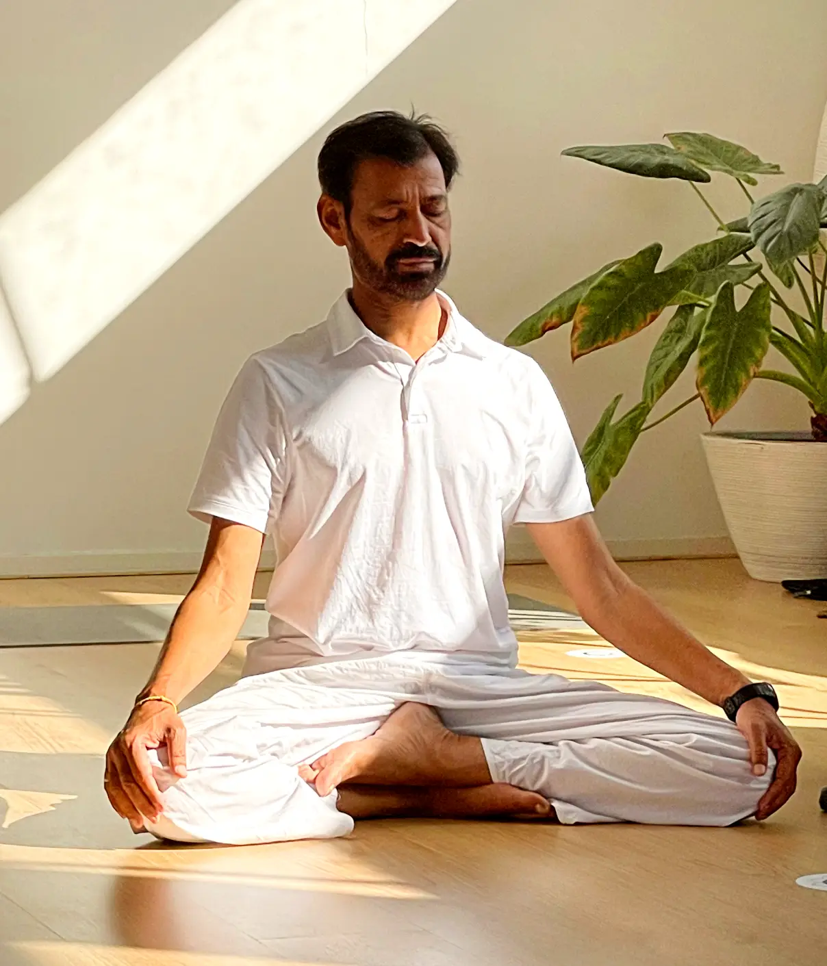 7 Days Reset Recharge Yoga Retreat Goa & Cultural Experience 14 yogaschoolinbali