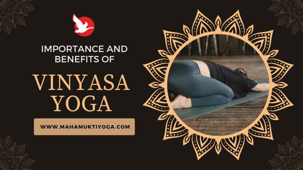 Elevate your fitness level with the top 4 fitness yoga at Mahamukti! 5 Importance and Benefits of vinyasa yoga