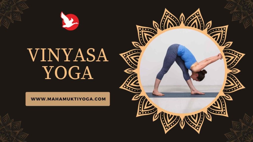 Elevate your fitness level with the top 4 fitness yoga at Mahamukti! 4 Vinyasa Yoga
