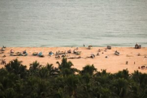 Read more about the article Top 10 Beachfront Yoga Retreats to Visit in Goa This Season